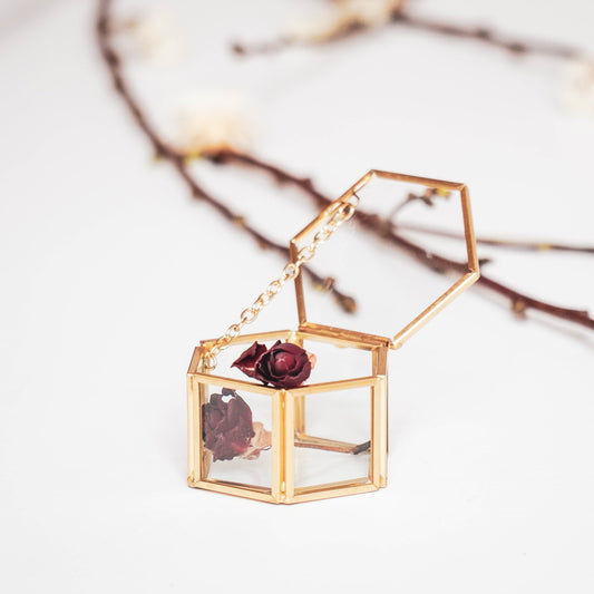 Glazen Displaybox Voor Decoratie